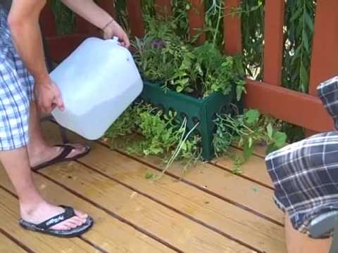 Alex's 20" Garden in a Box!