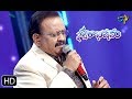 Kanubommala Pallakilona Song SP Balu Malavika Performance Swarabhishekam 13th October 2019