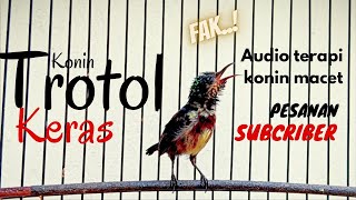 Download lagu Pancingan Burung Konin trotol gacor untuk menaikan emosi kolibri ninja malas bunyi @mandorkicau mp3 Download lagu Pancingan Burung Konin trotol gacor untuk menaikan emosi kolibri ninja malas bunyi @mandorkicau mp3