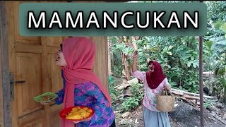 Download lagu MAMANCUKAN || MAMACAH DROOL mp3