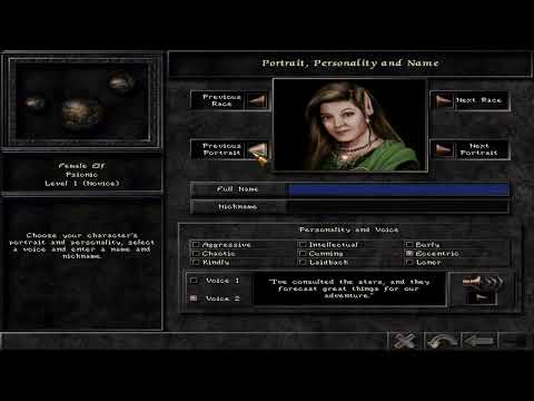 Let's Play Wizardry 8 (CLASSIC Dungeon Crawler CRPG!) - Ep. 3 - Careful Party Crafting Part DEUX (2)