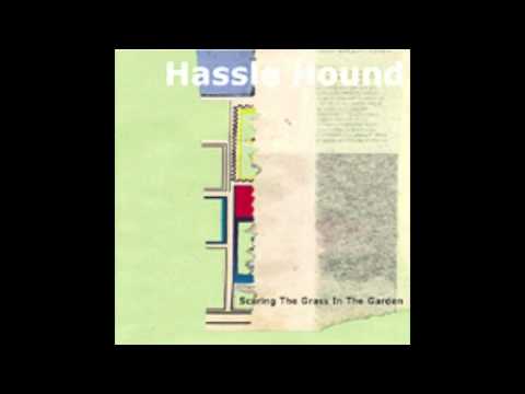 Hassle Hound - Crickets and Catbirds
