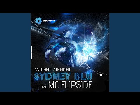 Another Late Night (Phunk Investigation Remix)