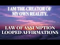 I Am The Creator Of My Own Reality LOOPED Manifestation Affirmations 8D AUDIO