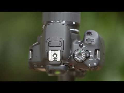 Understanding The Mode Dial - How to Use Your Camera, Part 2