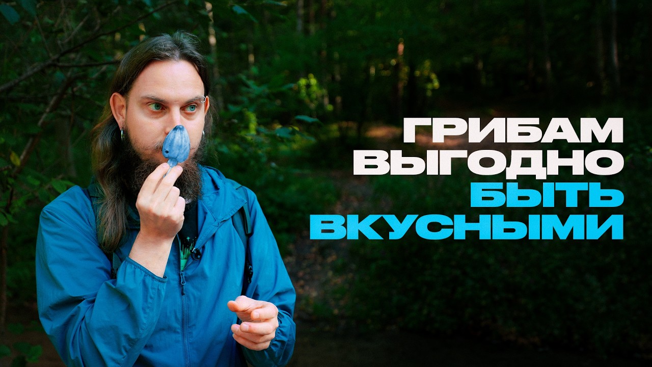 Абсолютно всё, что вы не знали о грибах