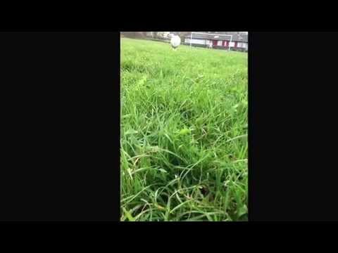 Ethan White kicking practice