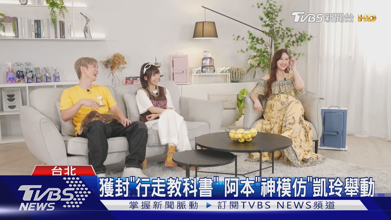《萌寵明星粗乃玩》凱玲魅力爆棚!車上開撩嘉賓 Sandy驚呼:很強