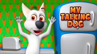 My Talking Dog videosu