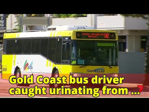 Gold Coast bus driver caught urinating from his vehicle