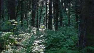 kodiak island dave matthews