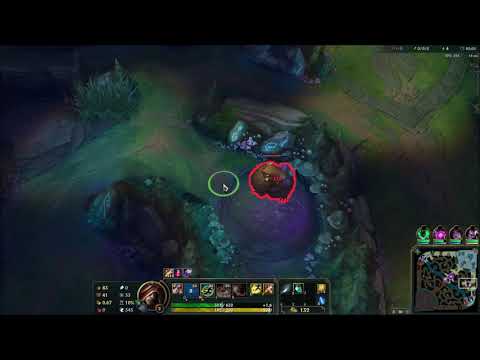 Lee Sin Invisible