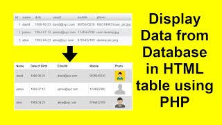 Display fetch data from database using PHP MySQLi