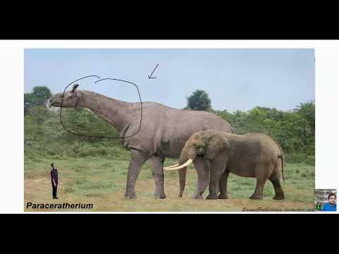 Anarghya IAS | GS Prelims & Mains | Environment & Ecology |