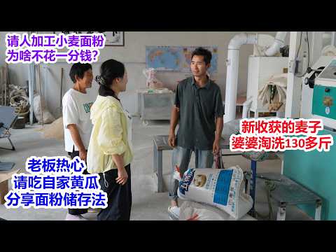 婆婆淘洗130多斤麦子，不花一份钱，请人加工小麦面粉，老板热心，要请吃黄瓜，分享面粉储存方法