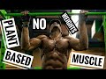 Bodyweight Workout For Muscle | Vegan Diet for Muscle