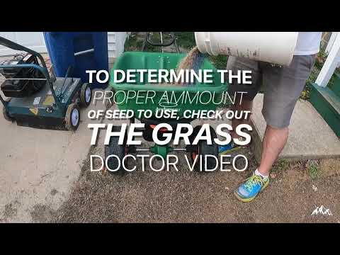 How to Over Seed Your Lawn