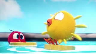 Water skiing with Chicky | Where's Chicky? | Cartoon Collection in English for Kids | New episodes