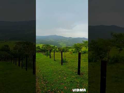 ⛰️ São João da Boa Vista SP ⛰️