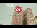 Blossoms | Perfect Me