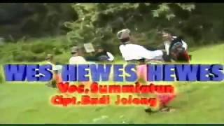 Download lagu Wes Hewes Hewes mp3