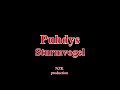 Puhdys - Sturmvogel(Lyrics)