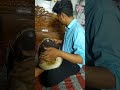 Deewane Hai Deewano Ko Gurdeep Singh Bharti Gurmeet Singh Bharti Shorts