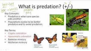 15.2.3 What is predation