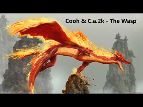 Cooh & C.a.2k - The Wasp / CLIP