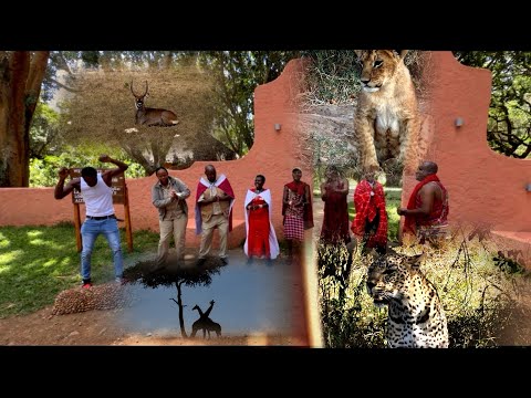 First day in Masai Mara ( incredible animal sightings) 