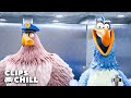 Las Escenas Más Divertidas De Angry Birds 2 La Película