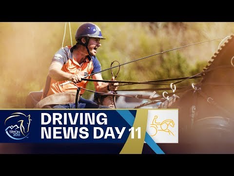 Koos de Ronde convinces at Driving Marathon | Driving | FEI World Equestrian Games 2018
