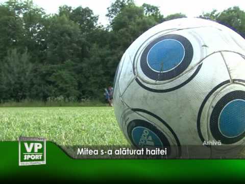 Mitea s-a alăturat haitei