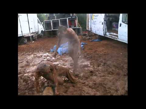 CALLAGE " FLOUF (GADOU) PARTY  " //// CHEVEUX SALES vs ABORIGENE OTOKTONE //// 08.09.2013