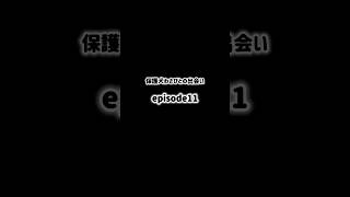 保護犬わさびとの出会い▶︎▶︎episode11（Day9前編）#保護犬#元野犬#わさび