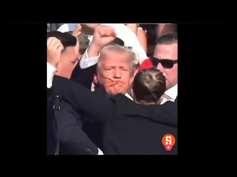 The real Trump? Doesn't fit our narrative! Make Germany great again!