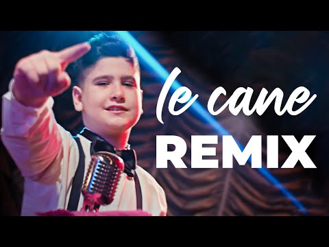 DEHAMCAN - Le cane (REMiX) - Dj Yusuf ŞAHİN