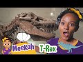 NEW Meekah S Dino Discovery Educational Videos For Kids Blippi And Meekah Kids TV