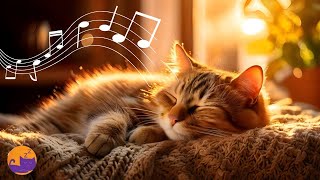 home alone cat anxiety relief 🐱💤 natural enrichment music for cats ✨
