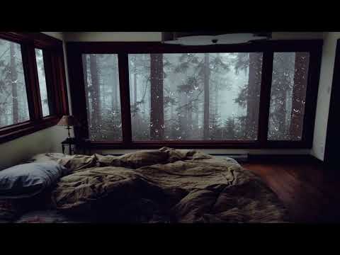 Rumore della Pioggia e Tuoni per Dormire - Pioggia Rilassante in una Foresta Nebbiosa