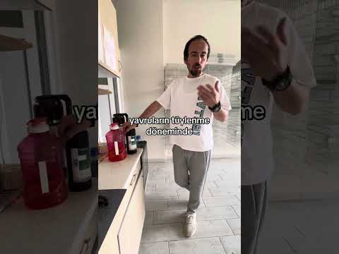 Bt-Amin forte Nasıl ve Ne Sıklıkla Kullanılır?#muhabbetkuşu #beslenme #showjumbo #kuş