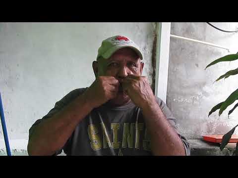 El TOPO, tocando con una hoja, el tema del Club Deportivo Olimpia .