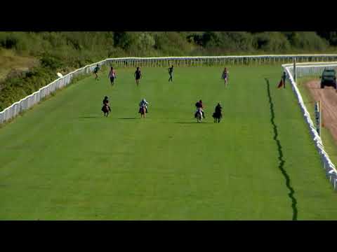 Lopp 3 16 Augusti 2020 Göteborg Galopp