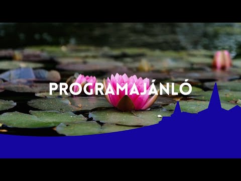 2026.01.13. Programajánló