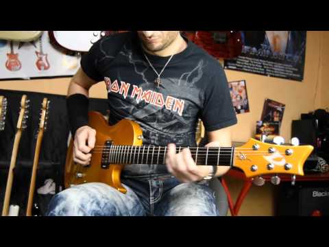 Vigier GV Rock - Emotional guitar solo with Bias FX