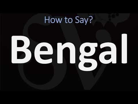 How to Pronounce Bengal? (INCORRECTLY)