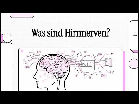 Was sind Hirnnerven? | EINFACH ERKLÄRT