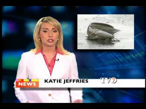 News Reporter Package Sample