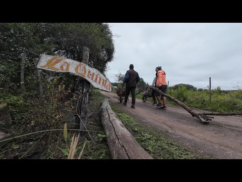 ¡Secretos del Monte! 🌏