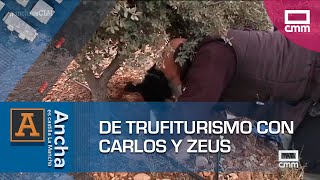 La trufa negra, un tesoro bajo la tierra | Ancha es Castilla-La Mancha
